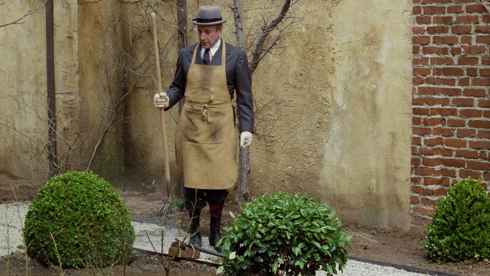 Being There Blu-Ray